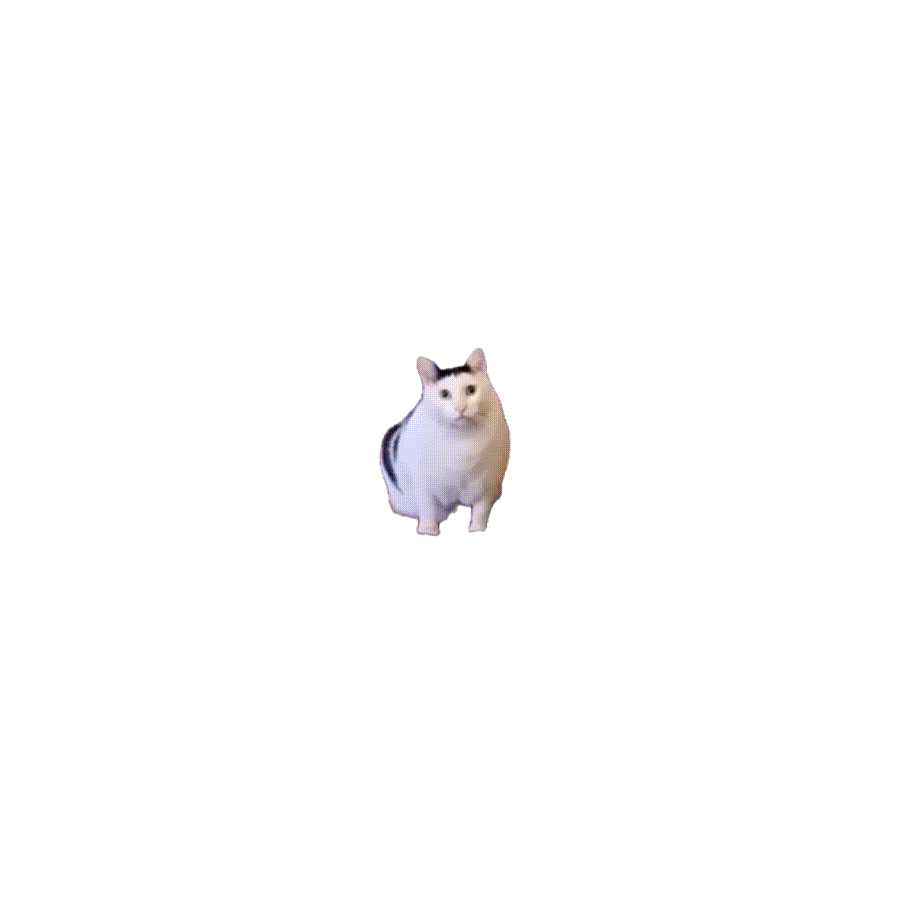 猫meme