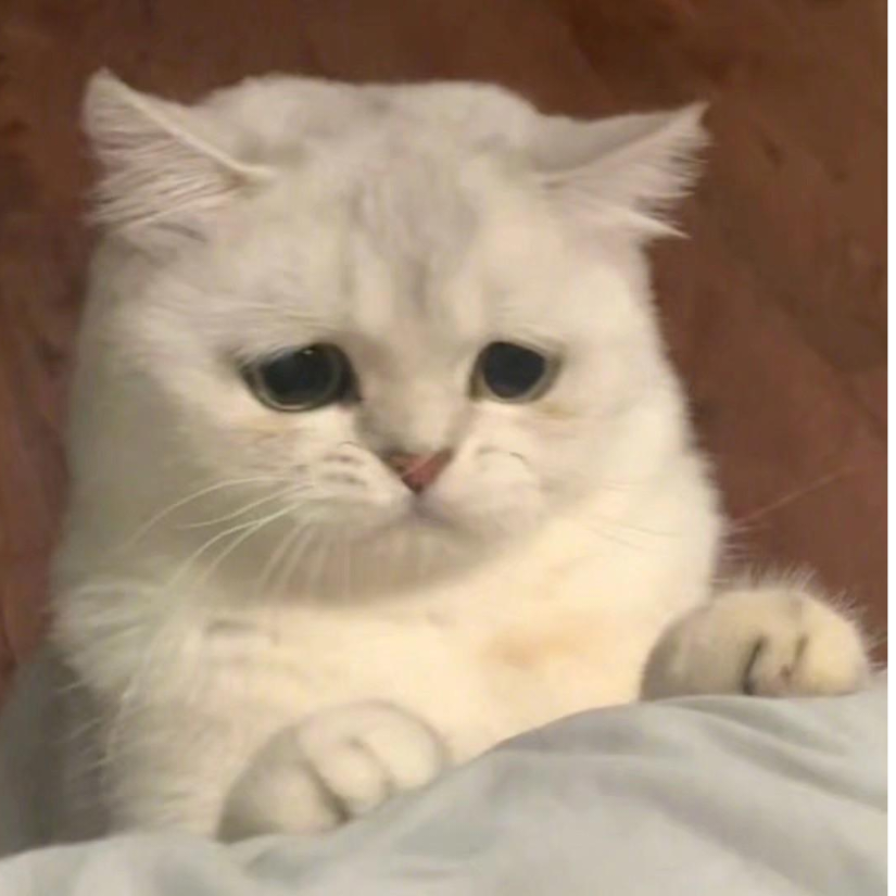 ee