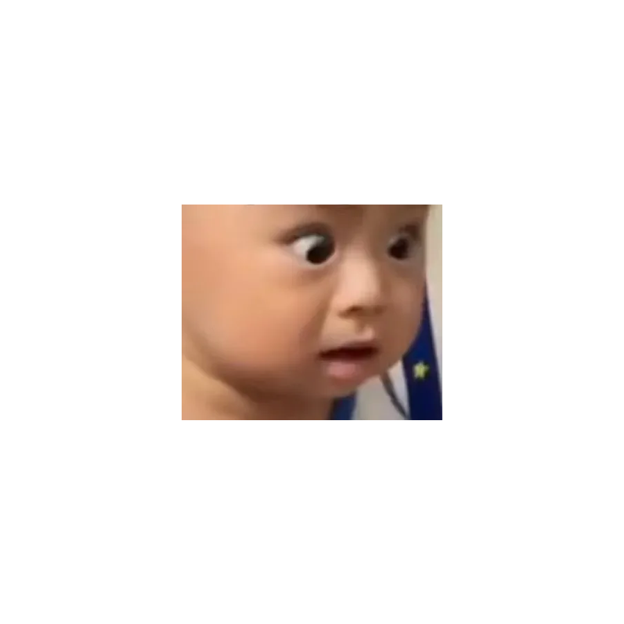 风语风存