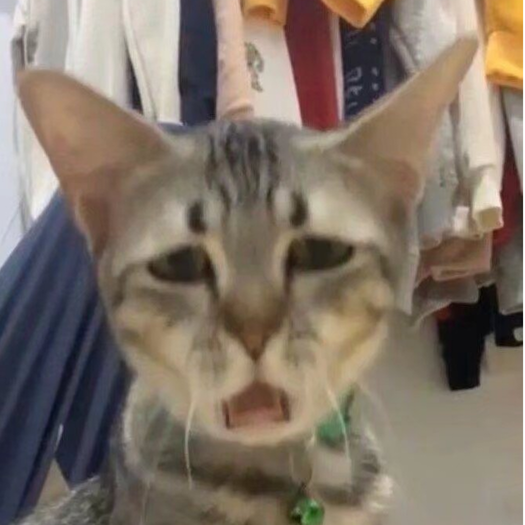 666