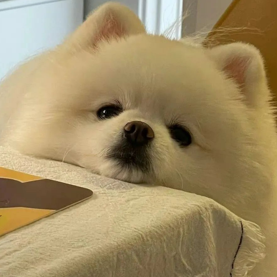 瓜