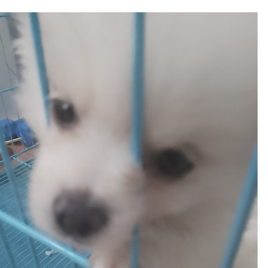 千篇一律