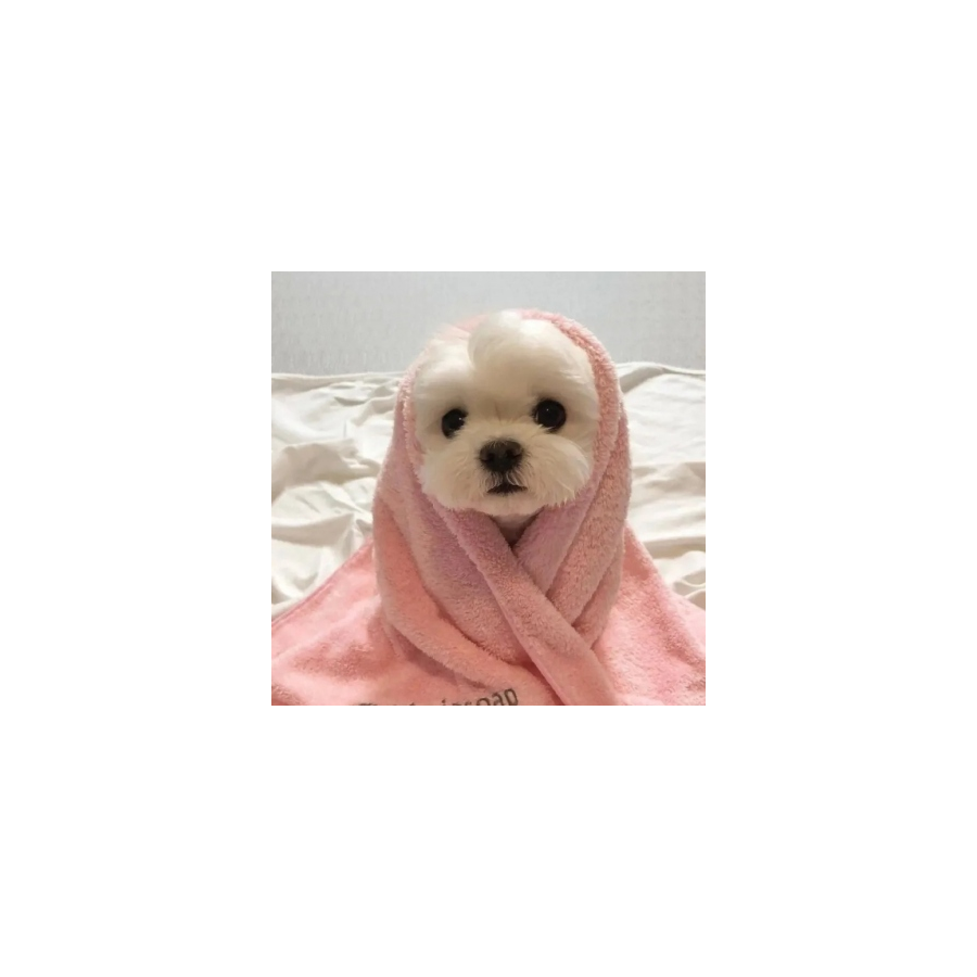 向夜晚✨