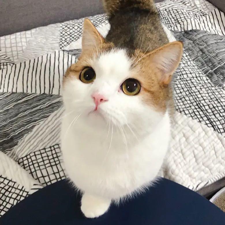 哎呀
