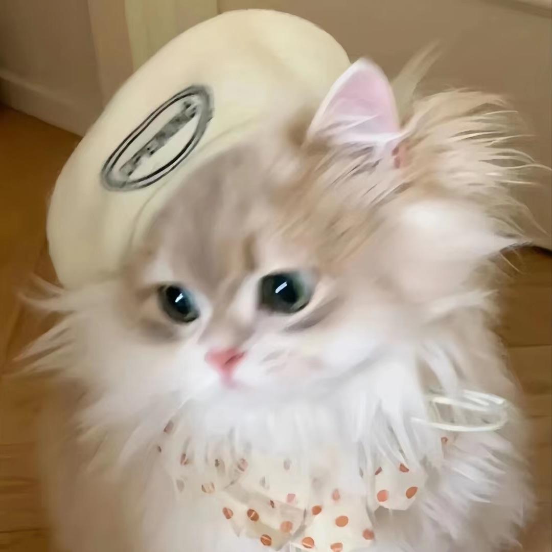 软软公主.