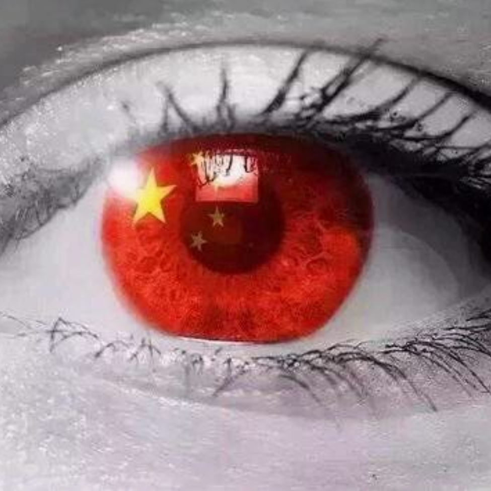 楠