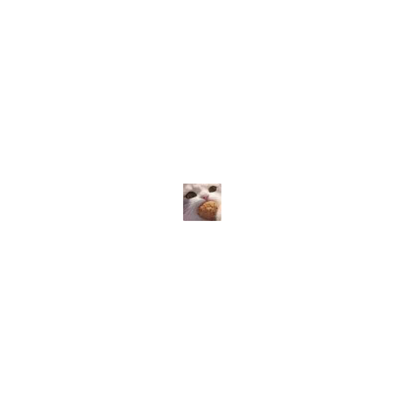 殇殇