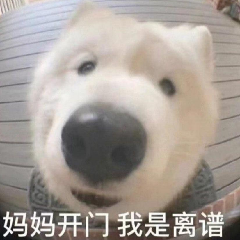 九个字的名字这样取