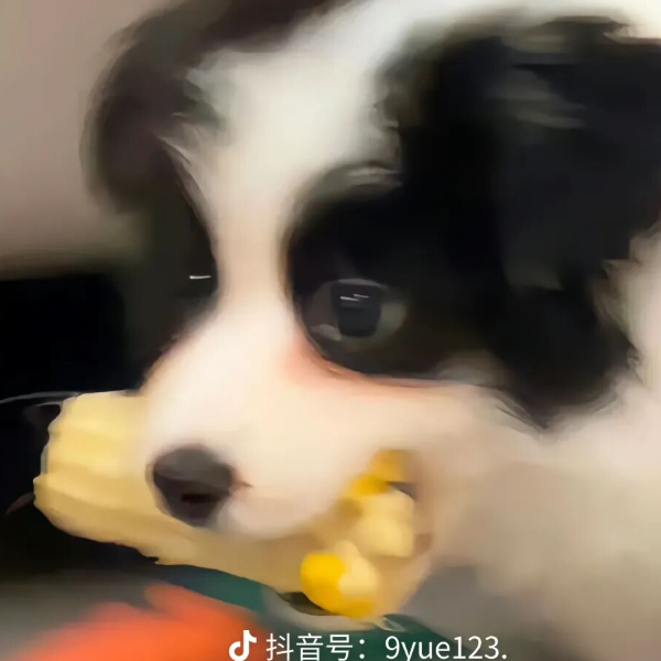 年