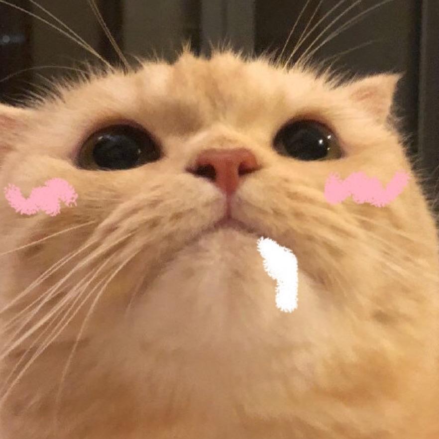 奶狗