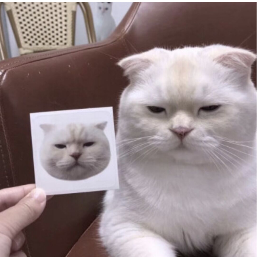 打游戏比读书认真