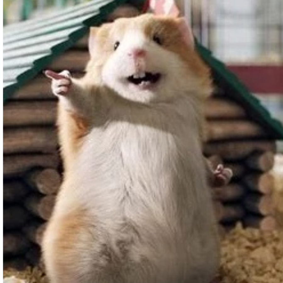 风无定，人无常