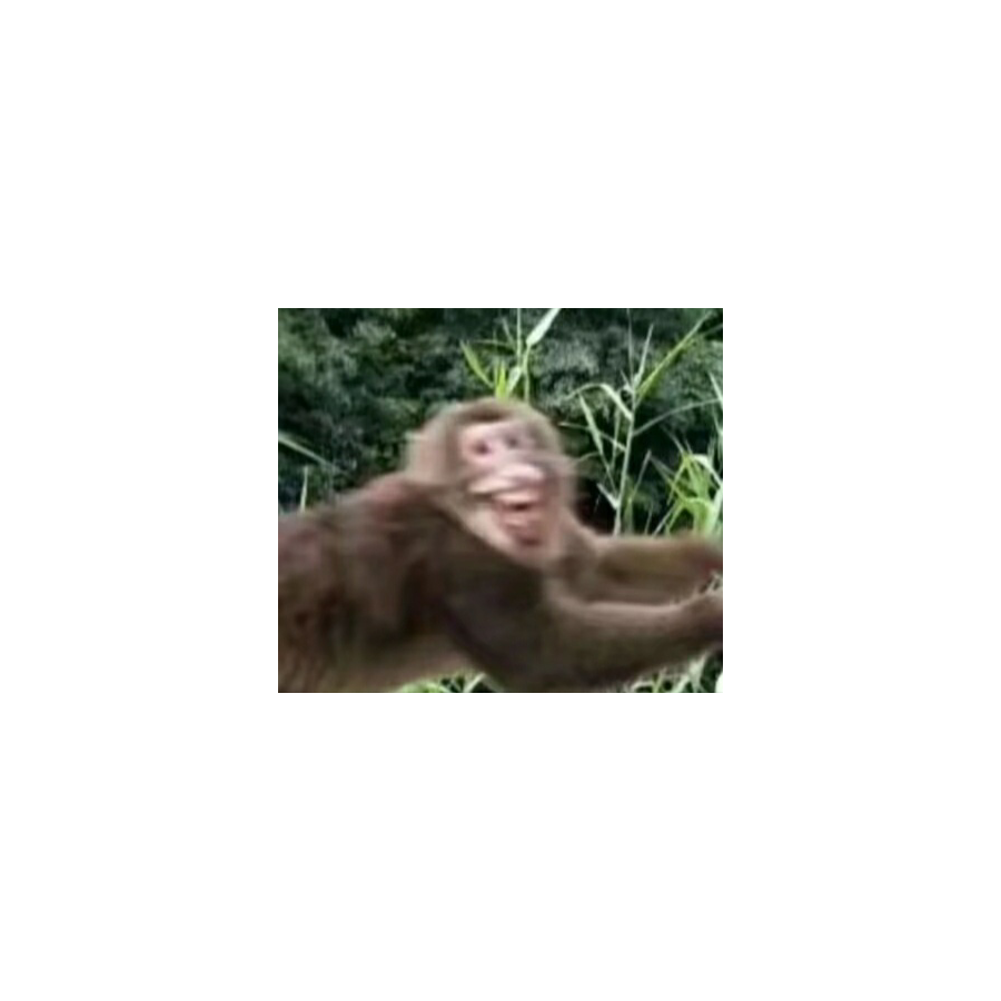 伍