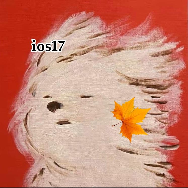 学物理的ios17