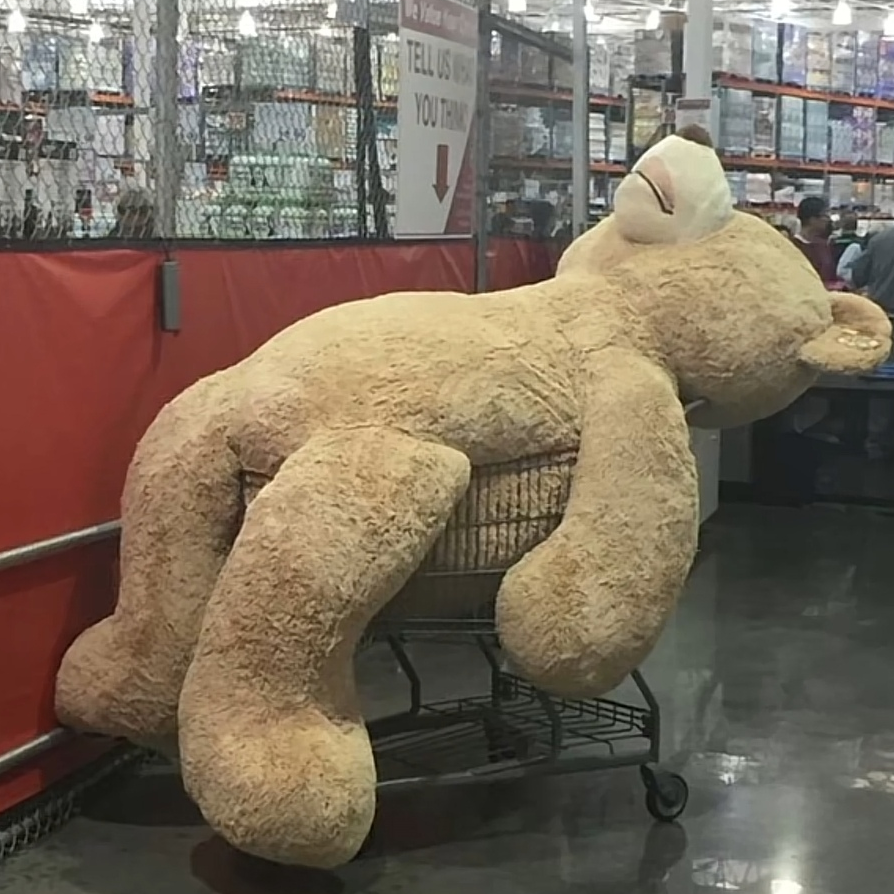 玄冬一十