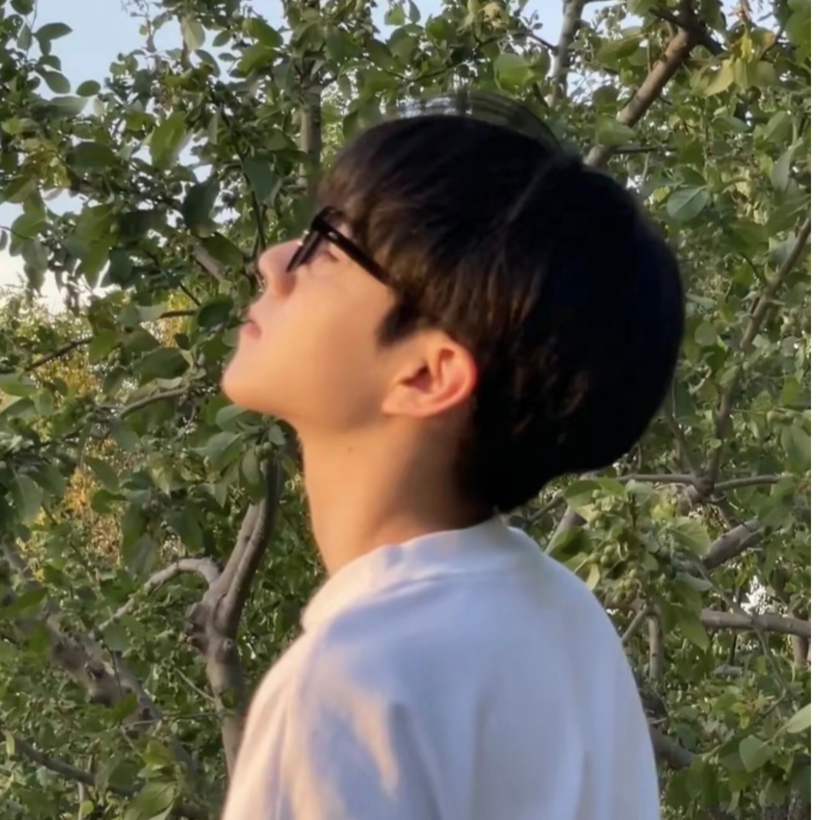 蓝莓有点慌
