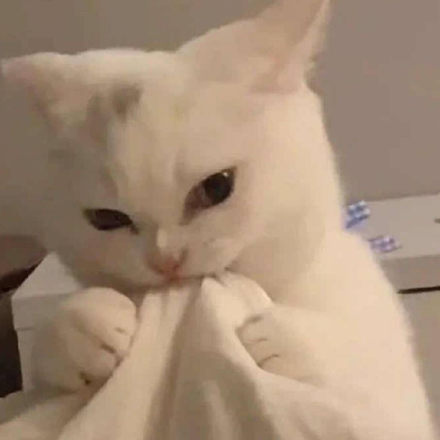 余生一个魏笙