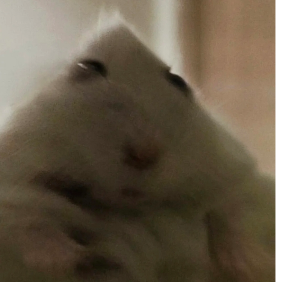 安