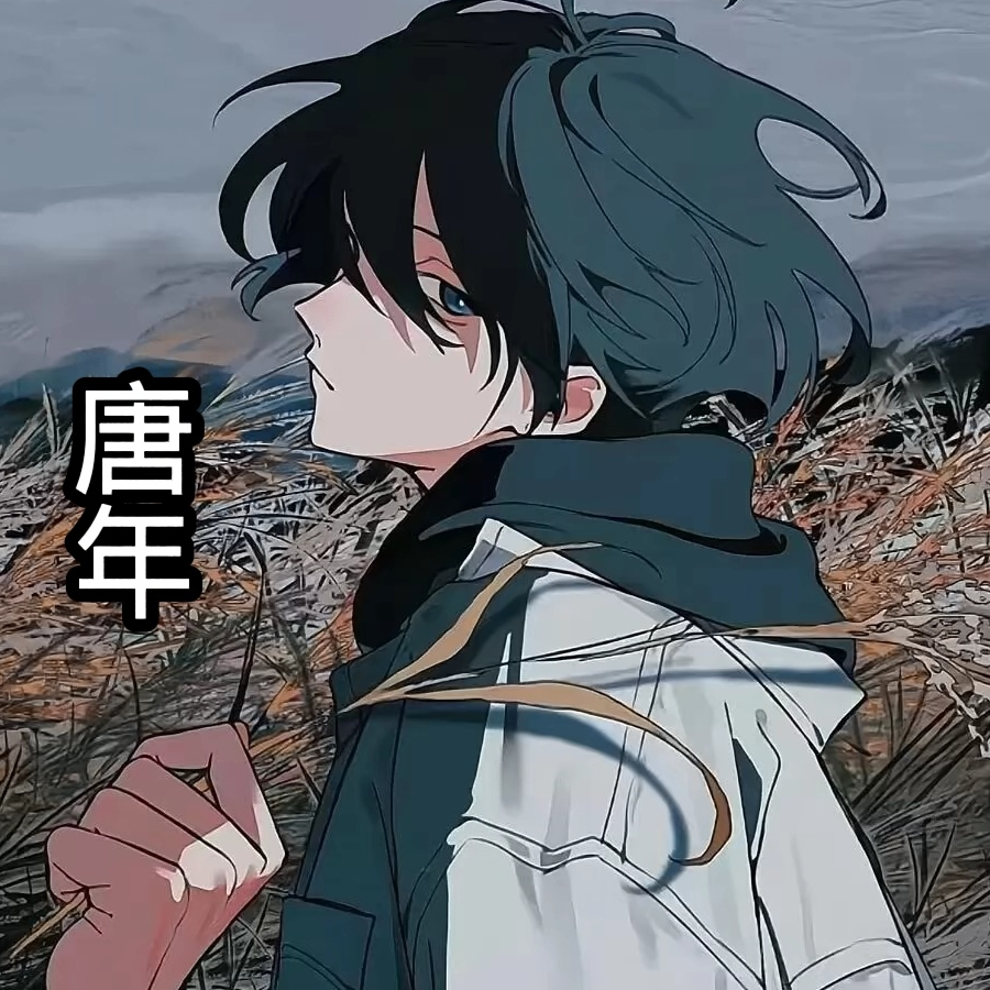 追梦❤唐年
