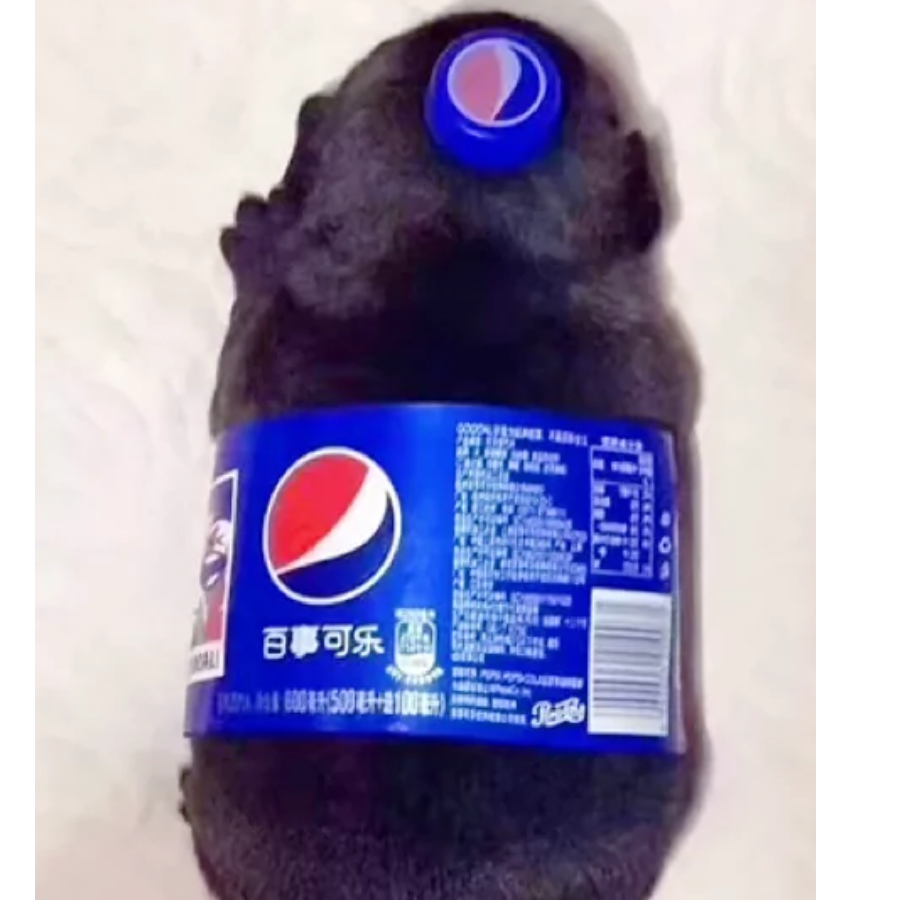 一只憨元圆●﹏●