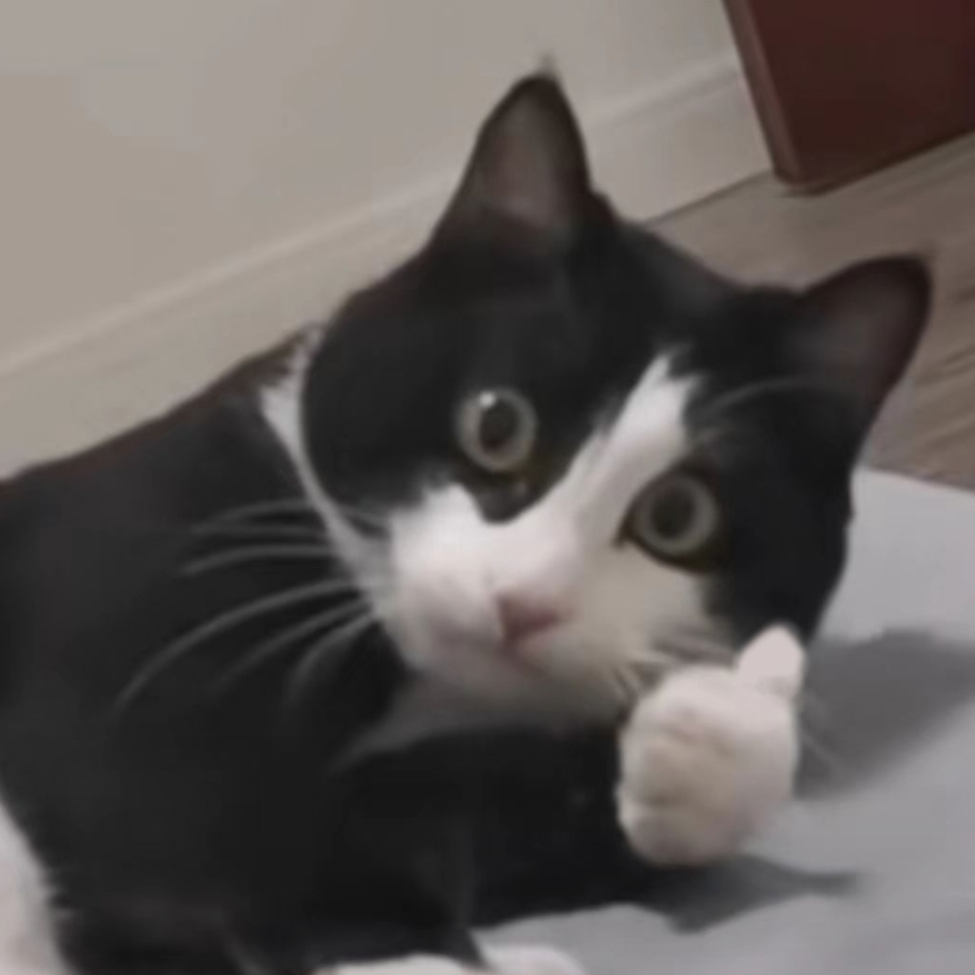 穗