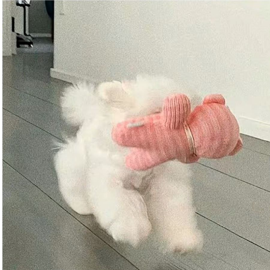 同乐