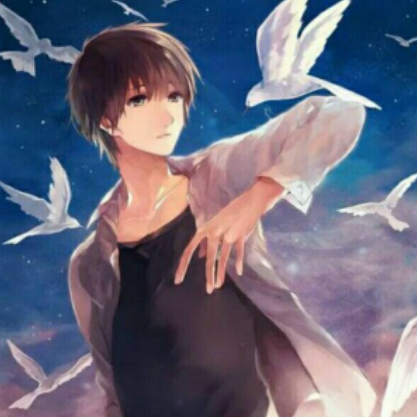 星羽