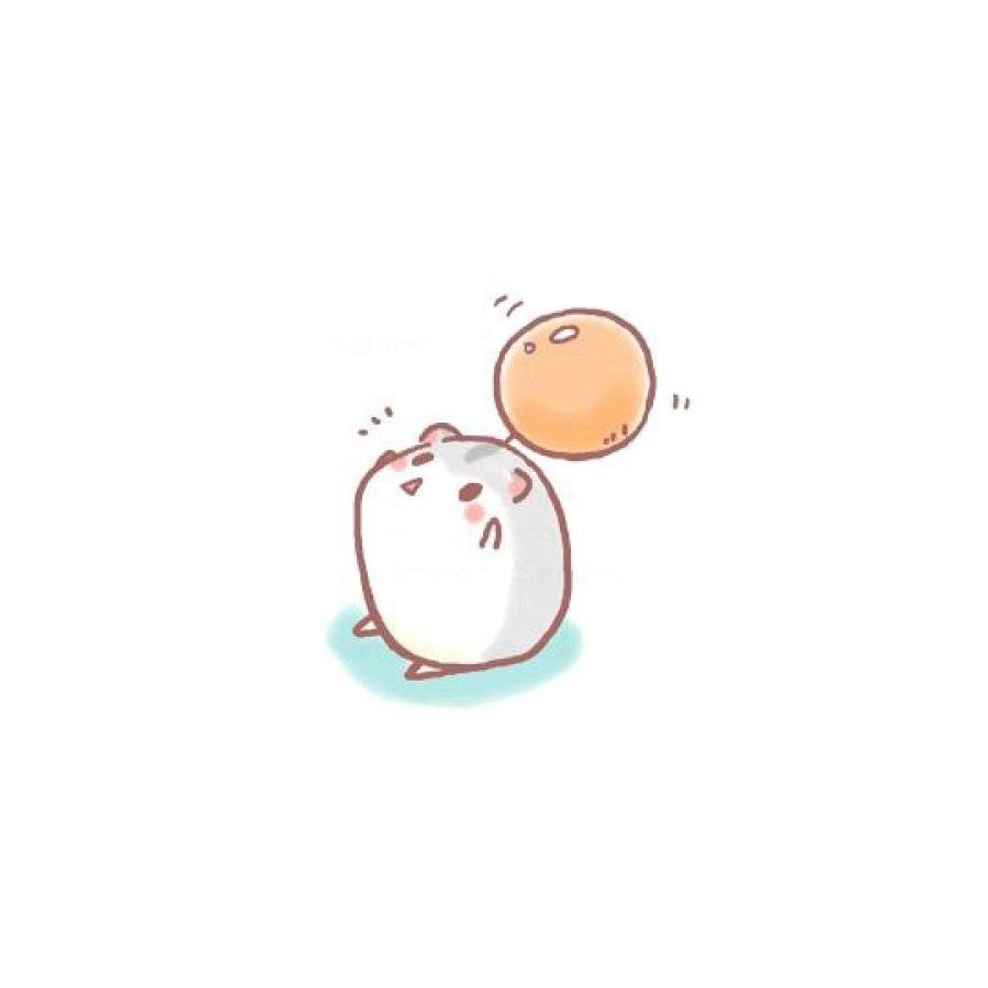 梓川与阿喵先森