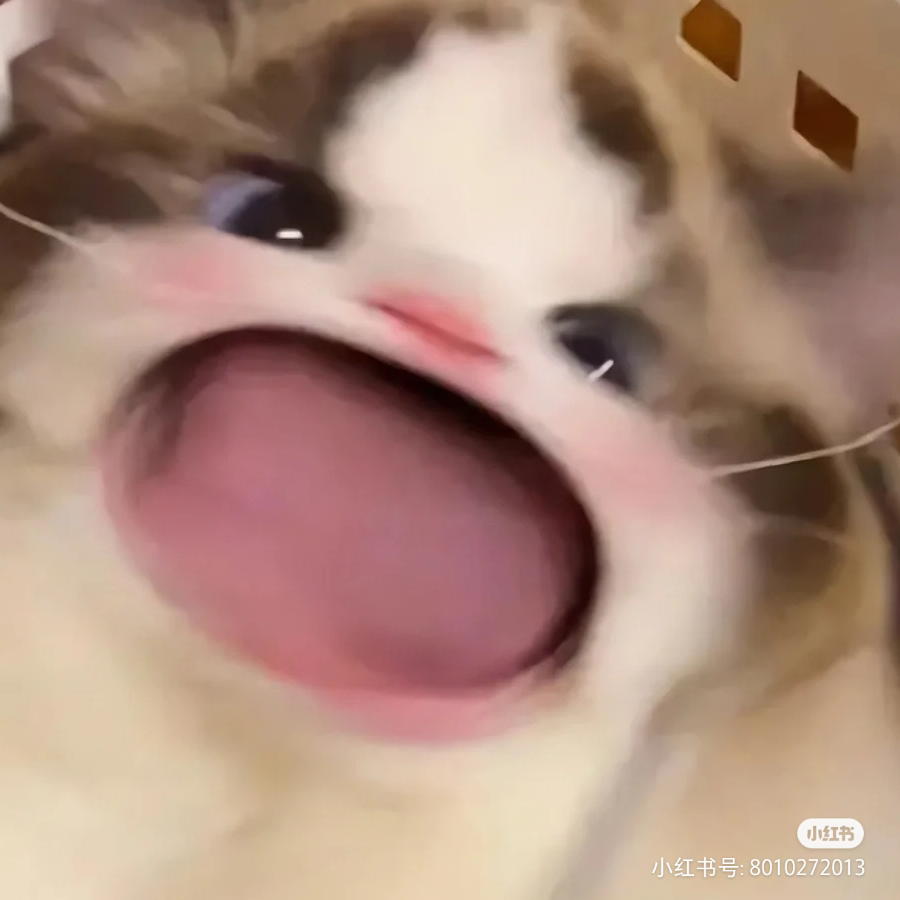 奈桉