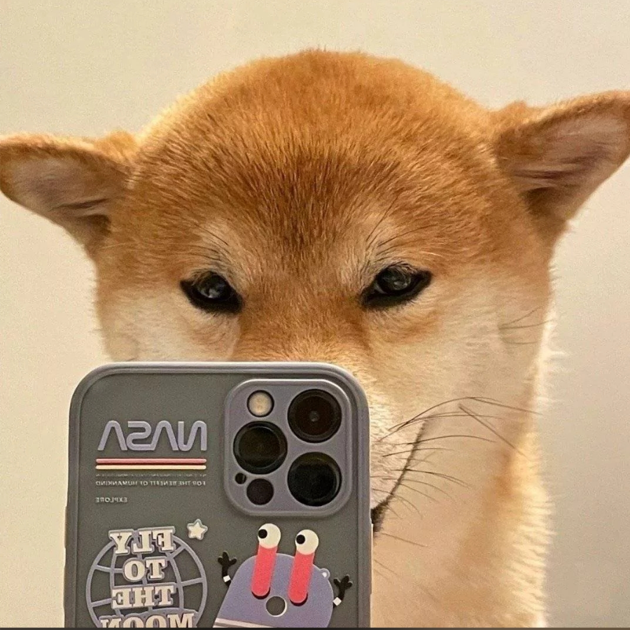 老秃