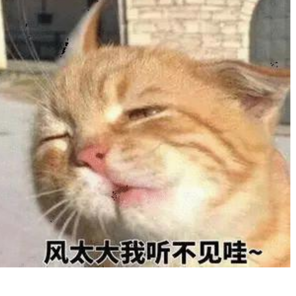 宁
