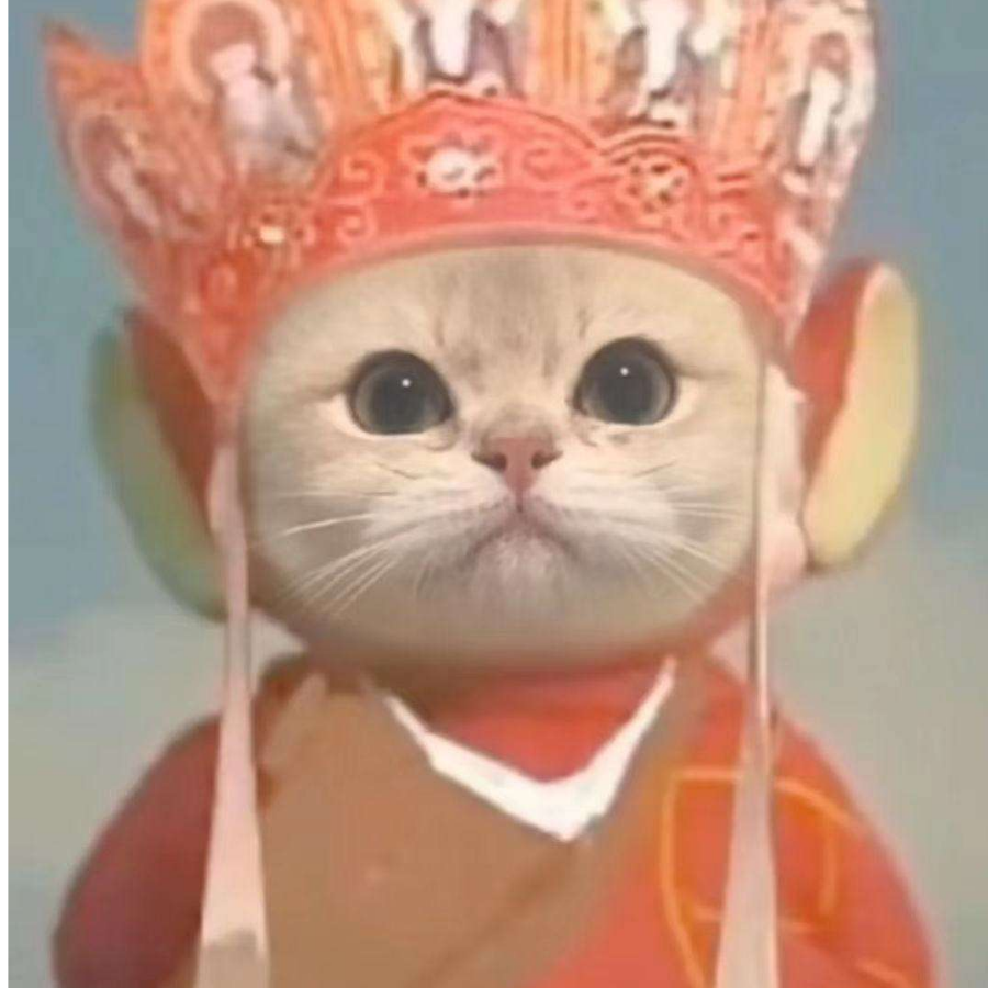 呔