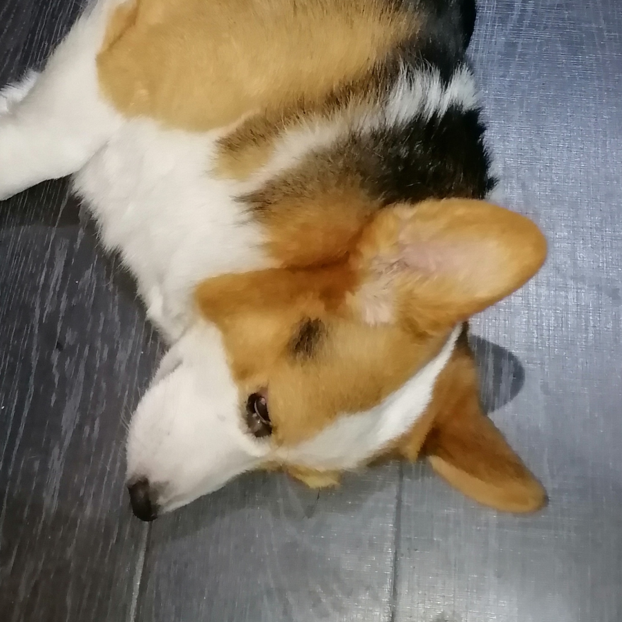 真是可怕