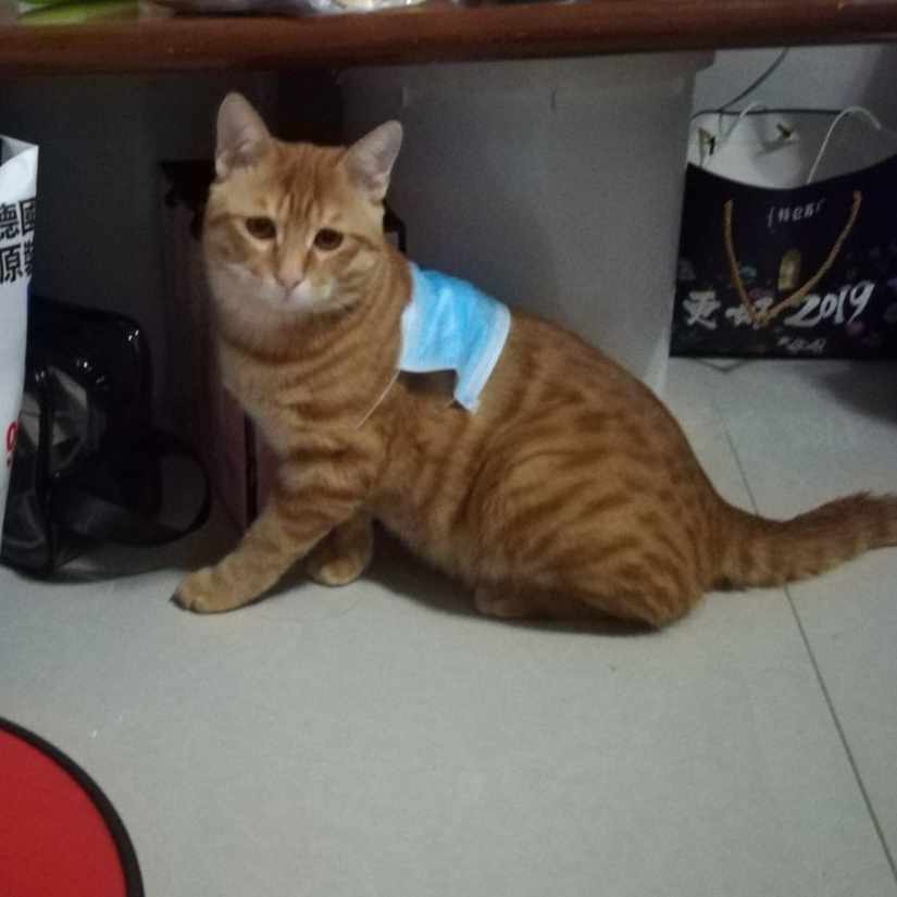 杂某人