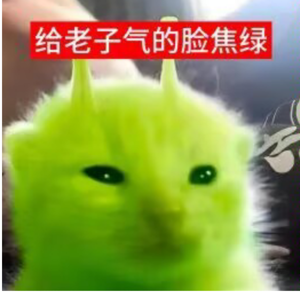 川影