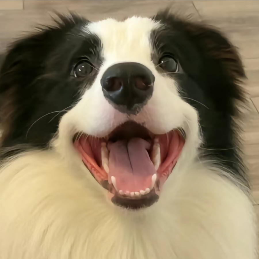 。