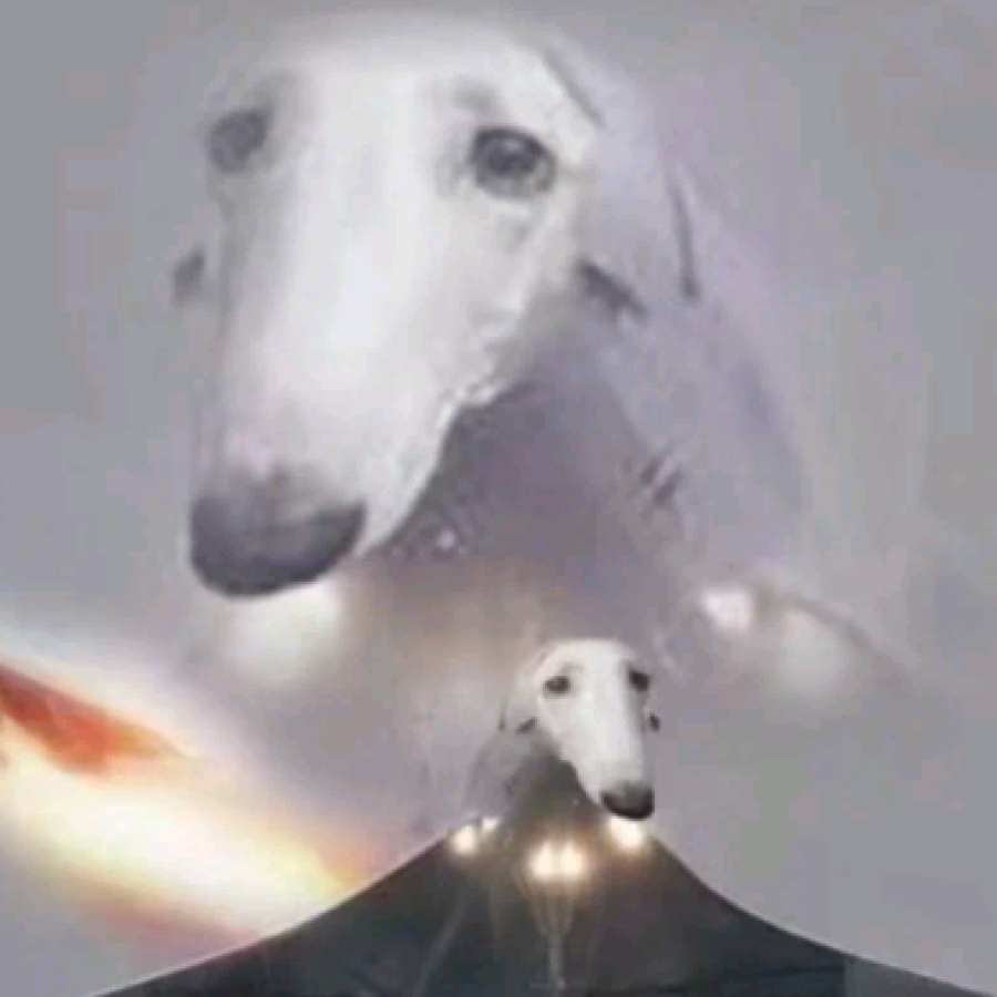 能量瓶小伙