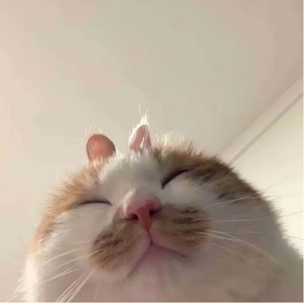 。