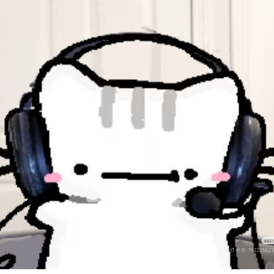 抱抱是个游戏宅