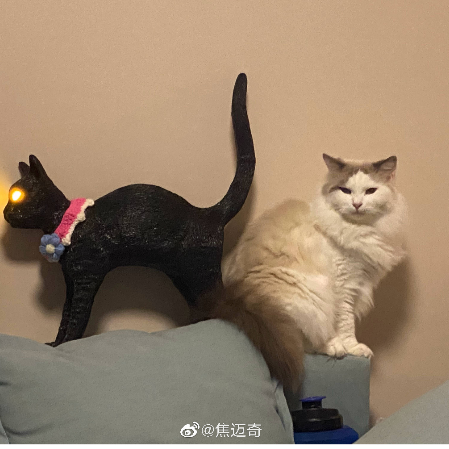觉今是而昨非
