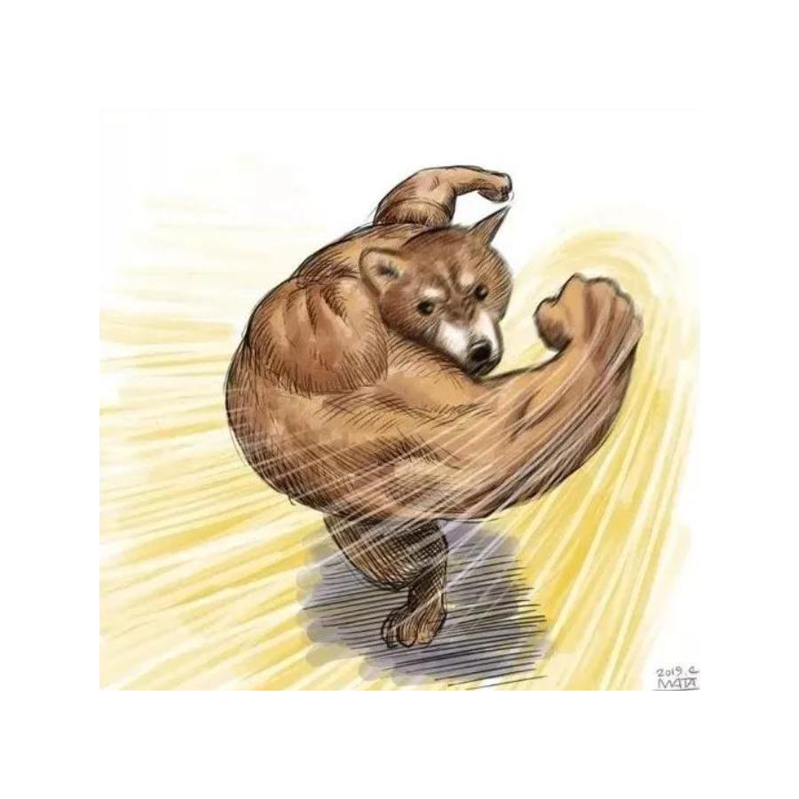 哈哈哈哈哈哈哈