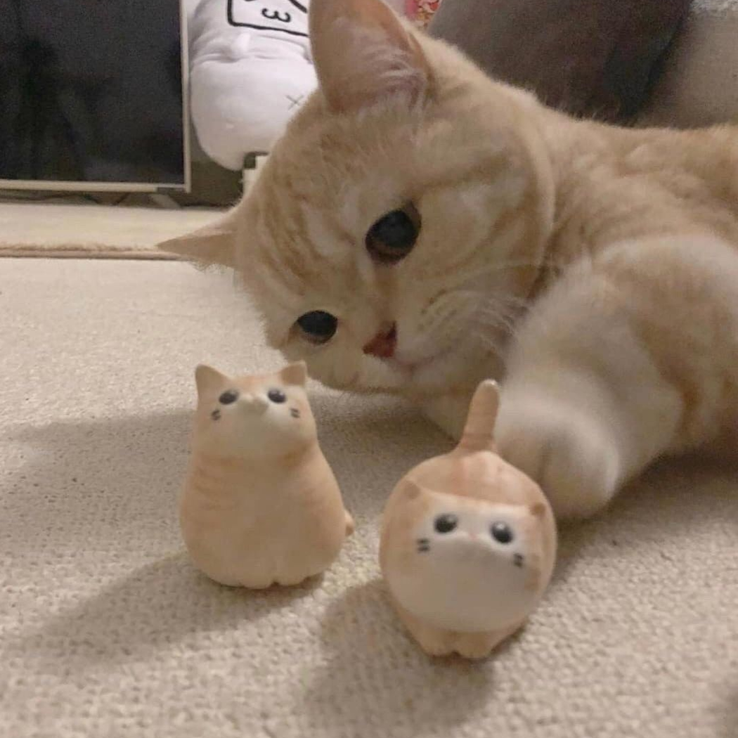 祝余