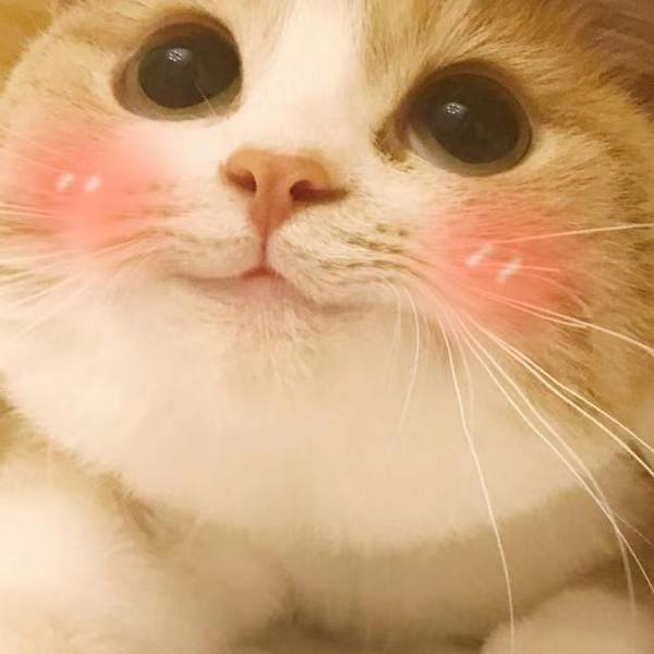 晚安