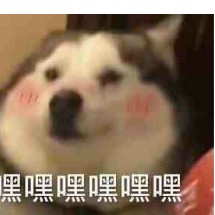 你猜我猜我不猜