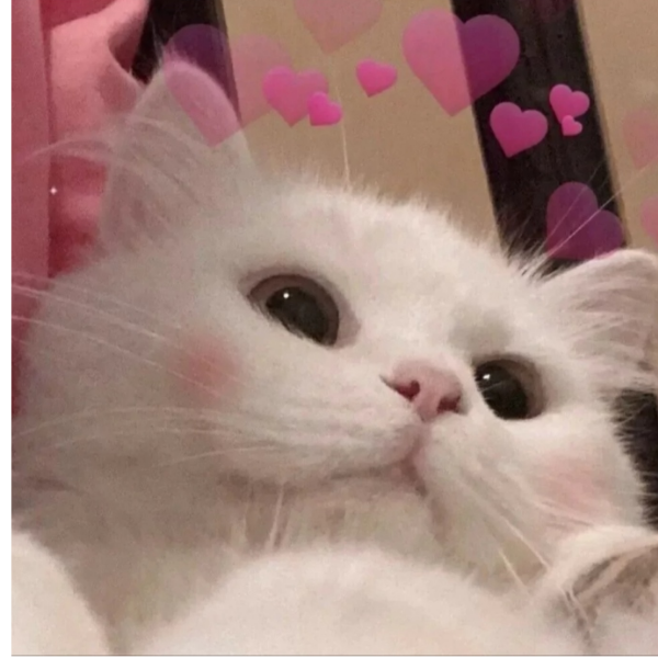 桃味漫
