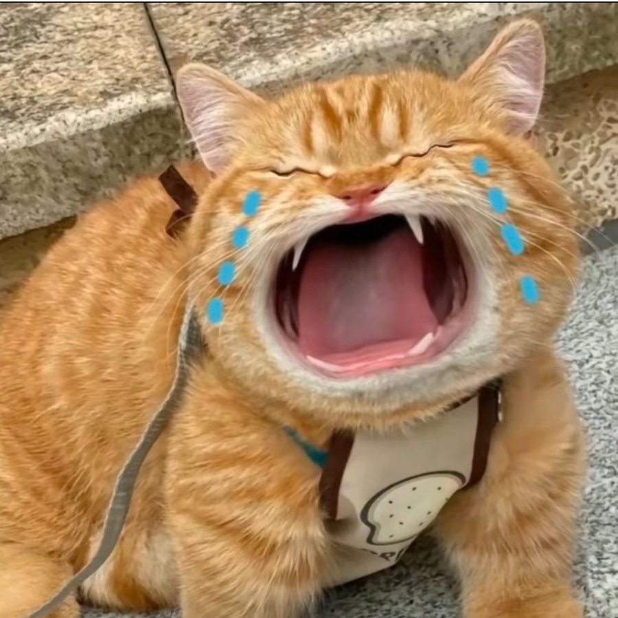 my