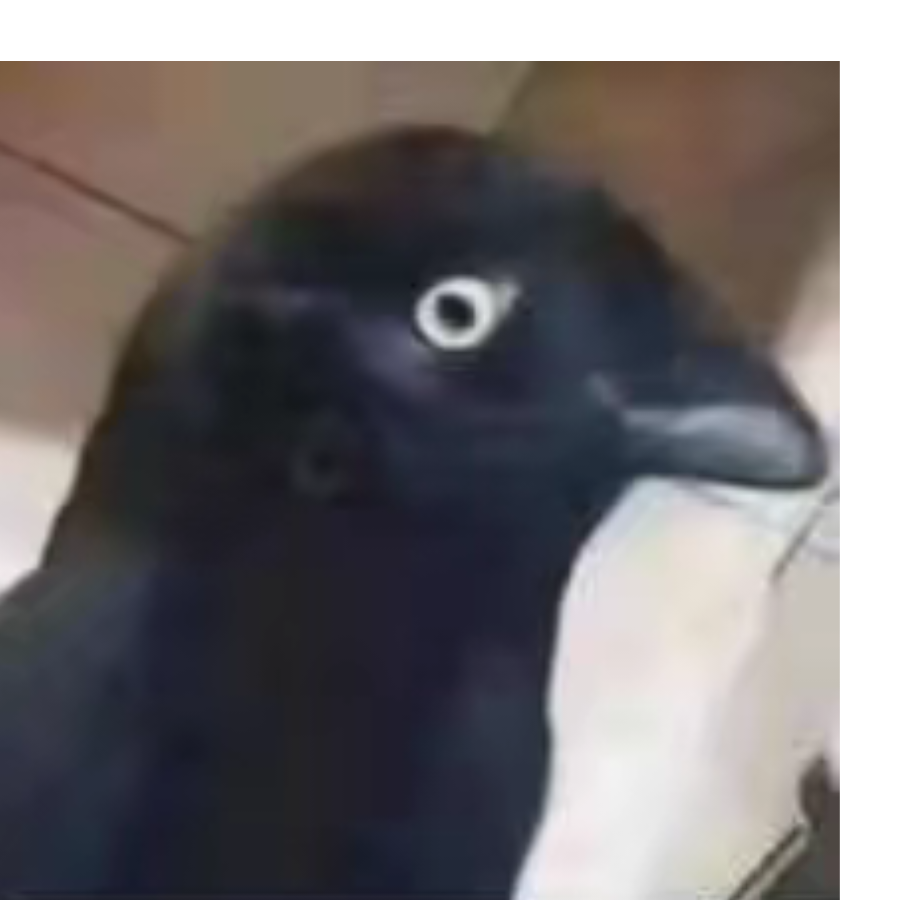 。。。。。