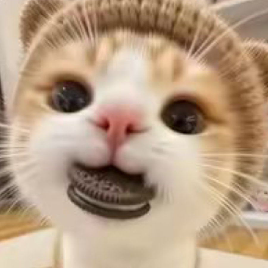 七巧