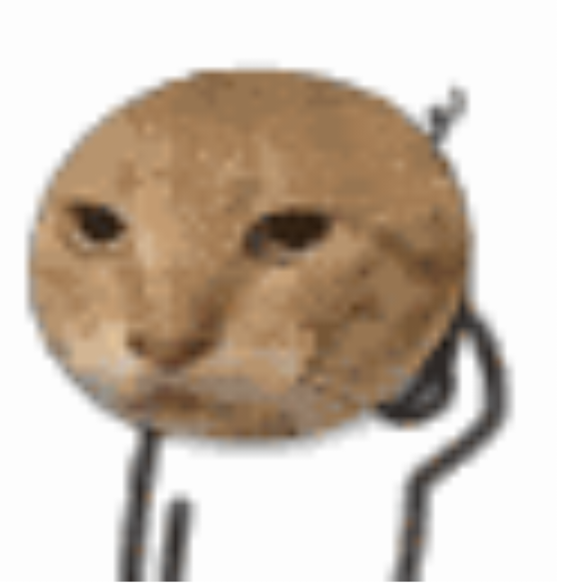 小ikun