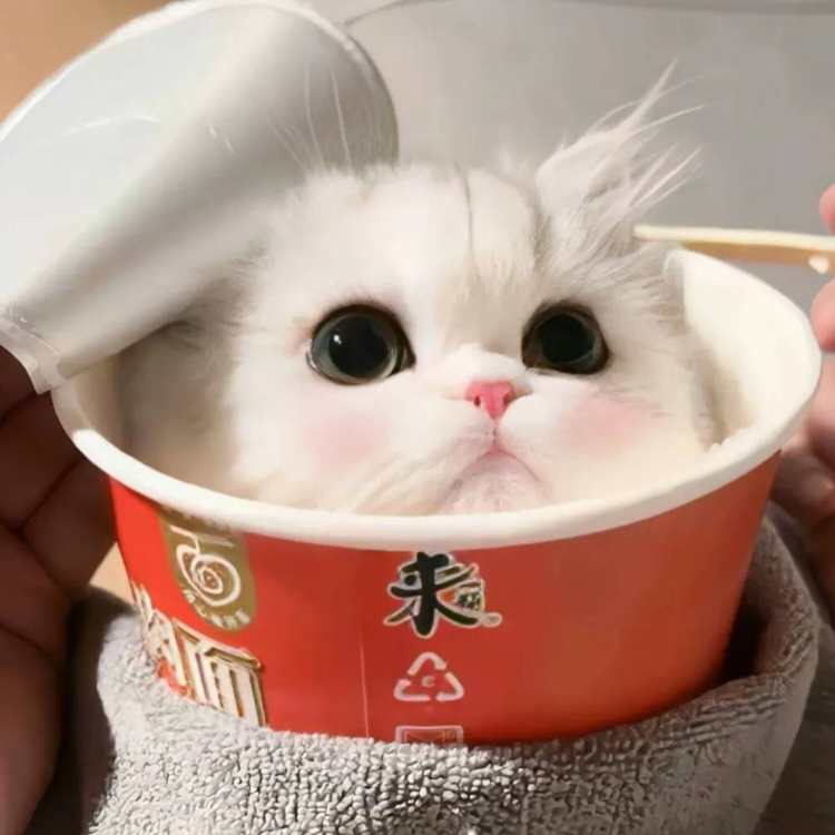 叶凛